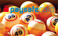 PaySafeCard bingo